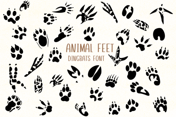 Animal Feet: A Playful Dingbat Font for Creative Projects